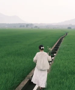 Alternative view of Concept “Quiet Fields” – Những Cánh Đồng Bình Yên 🌿